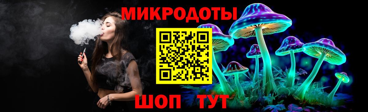 где купить наркоту  Вход с VPN  Черняховск  Псилоцибиновые грибы Psilocybe 