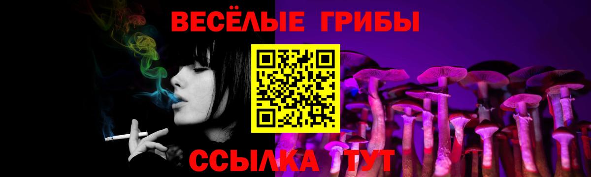 LSD-25  MDMA  Черняховск  Вход с VPN  Меф МЯУ МЯУ   МАРИХУАНА  Где купить  ГАШИШ 